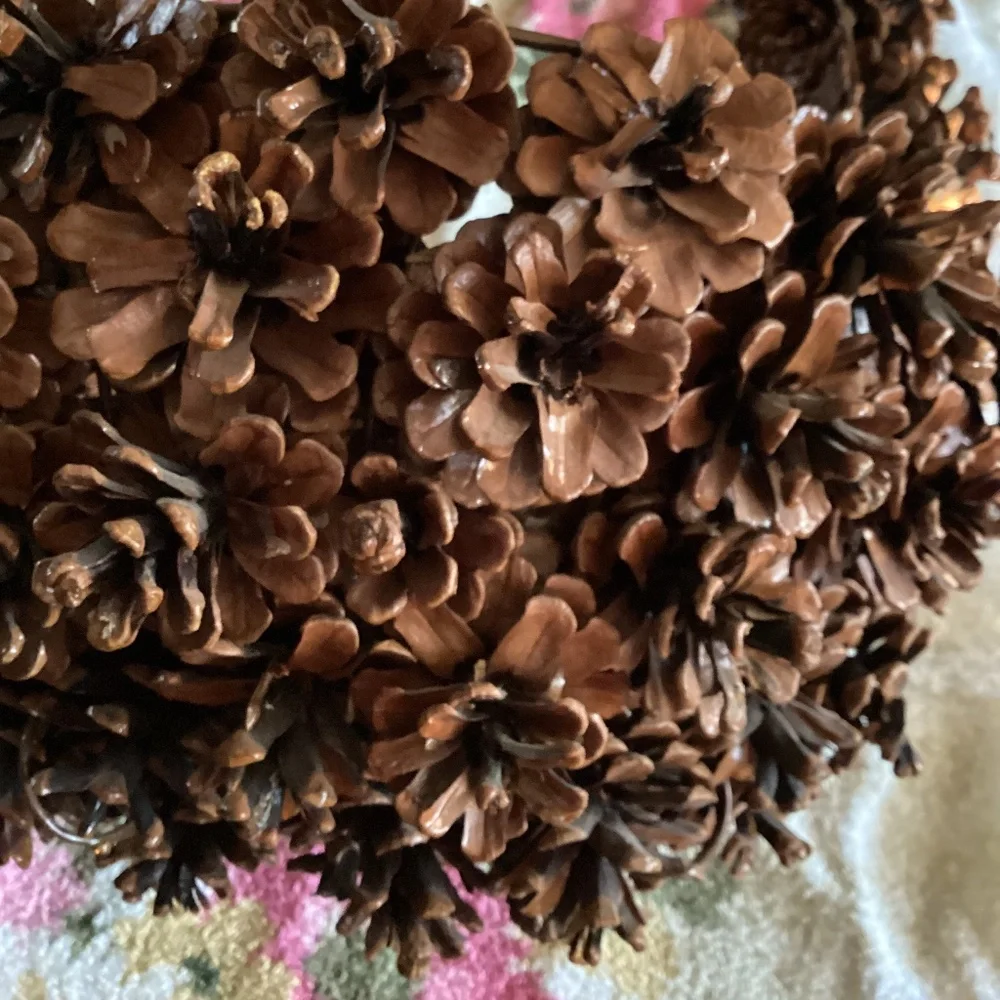 N/A vintage pine